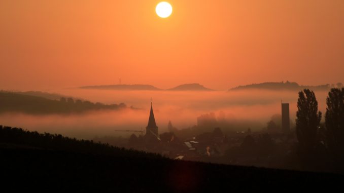 Zeutern im Nebel im Jahr 2020. Foto: Bernhard Schäfer