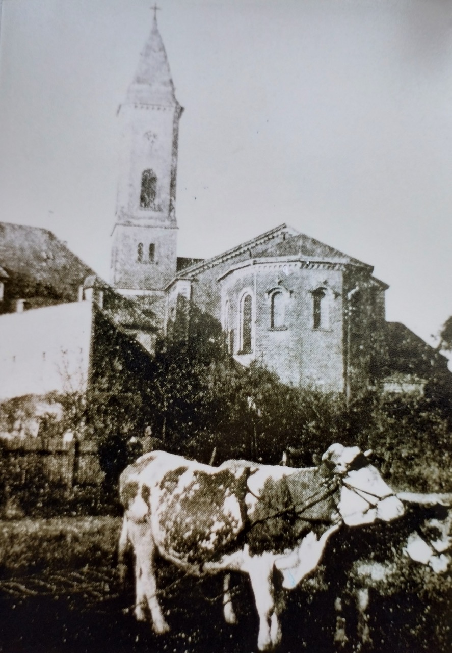 Kühe bei der Feldarbeit hinter der Weiherer Kirche
